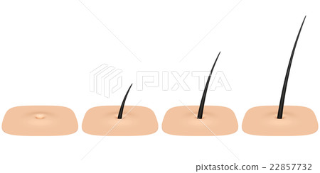 皮膚毛孔 22857732