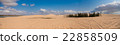 Vietnam desert 22858509