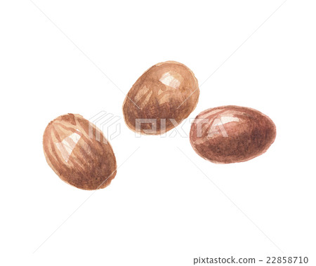 Sheer butter nook seed 22858710