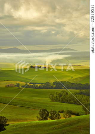 View of green fields at sunset in Tuscany View of green fields at sunset in Tuscany 22859555