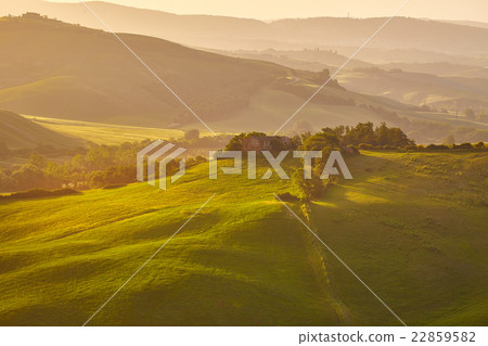 View of green fields at sunset in Tuscany View of green fields at sunset in Tuscany 22859582