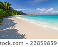 Beautiful beach and sea 22859859