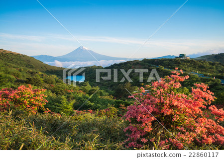 View of Mt. Fuji from azalea blooming Hakone gemama 22860117