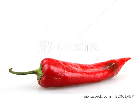 Red Pepper 22861497