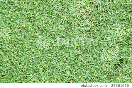 Football field green grass Football field green grass 22861686