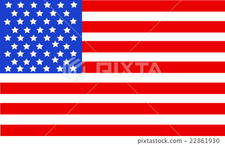 United State Of America flag isolated vector 22861930