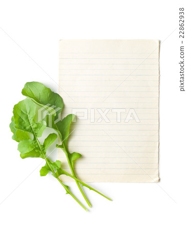 arugula leaves with blank paper arugula leaves with blank paper 22862938