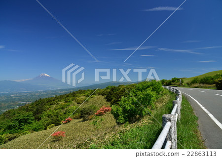 富士山看法從杜娟花開花的伊豆地平線路的 22863113