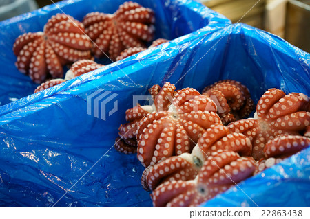 Octopus on the Tsukiji market 22863438