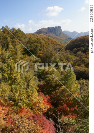 scenery scenery 22863935