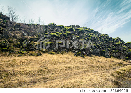 Green moss on black cliffs 22864606