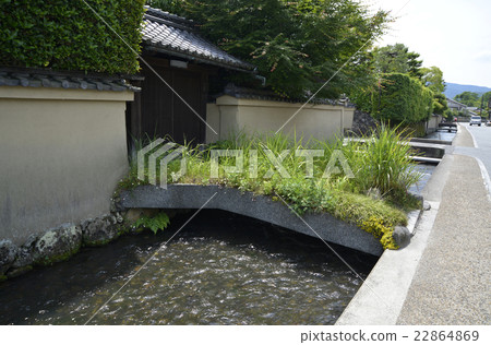 Kamogamo Honmondi 22864869