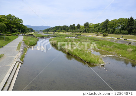Kamogawa Kamogawa 22864871