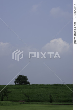 夏日的天空 22865054