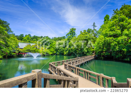 Spring Inokashira Park Spring Inokashira Park 22865270