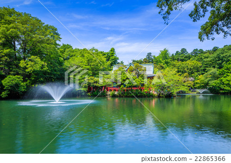 Spring Inokashira Park 22865366