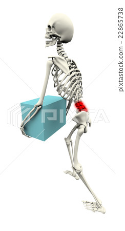 3DCG Human skeleton gikkuri waist · low back pain image 3DCG Human skeleton gikkuri waist · low back pain image 22865738