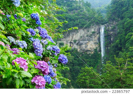 Nachi's waterfall 22865797