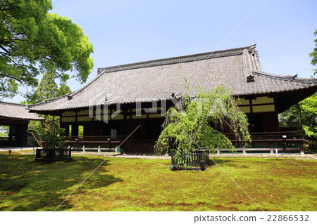 Kotobukiya-cho, Kyoto Botanical Garden 22866532