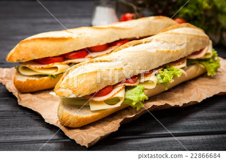 Panini grilled sandwich 22866684