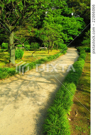 小石川後樂園的風景 22866866