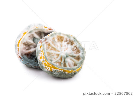Rotten, moldy and decomposing lemon on white Rotten, moldy and decomposing lemon on white 22867862