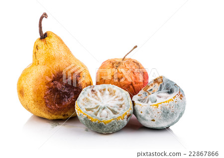 Rotten, moldy and decomposing lemon, apple, pear  22867866