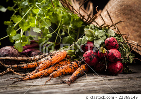 Fresh organic vegetables Fresh organic vegetables 22869149
