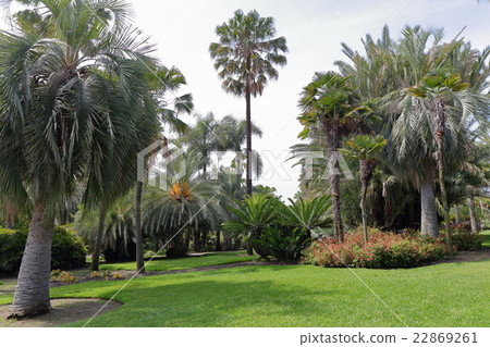 沙漠圍場亨廷頓圖書館 22869261