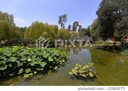 亨廷頓圖書館日本庭院 22869271