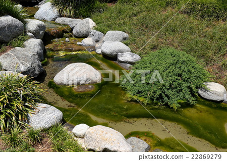 亨廷頓圖書館日本庭院 22869279