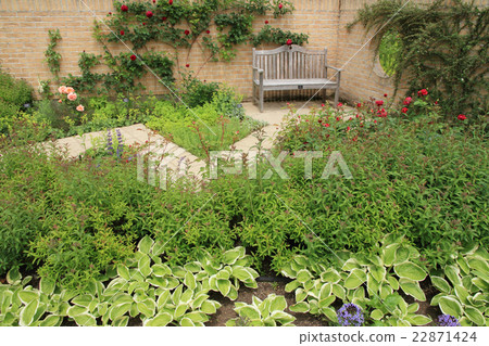 English garden in early summer 22871424