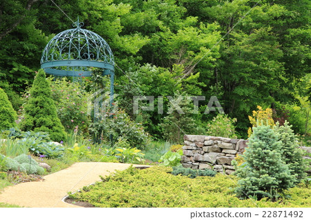 英國花園在初夏 22871492