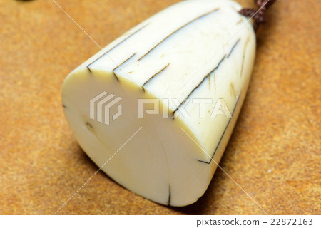 象牙根深蒂固 22872163