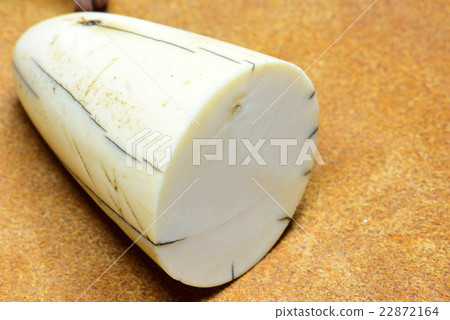 象牙根深蒂固 象牙根深蒂固 22872164