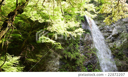 Nara · Meijin waterfall Nara · Meijin waterfall 22872207