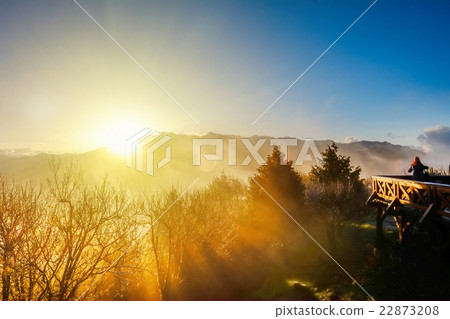 Beautiful morning sunrise in Alishan National Park 22873208