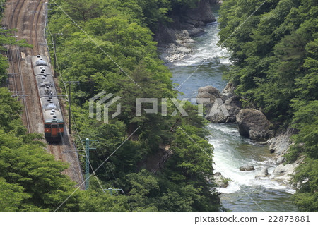 Line 115 train going on Suwa gorge 22873881