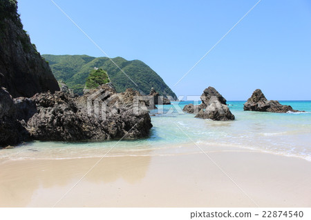 Sunflower Goto Island of Islands Fukue Island Takahama Beach Japan's 100 beaches 22874540