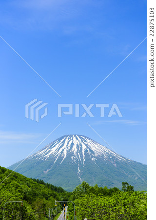 Mt. Yotei and Honjo Mt. Yotei and Honjo 22875103