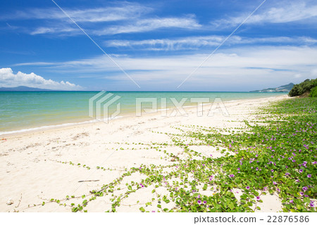 沖繩海灘·海濱別墅 沖繩海灘·海濱別墅 22876586