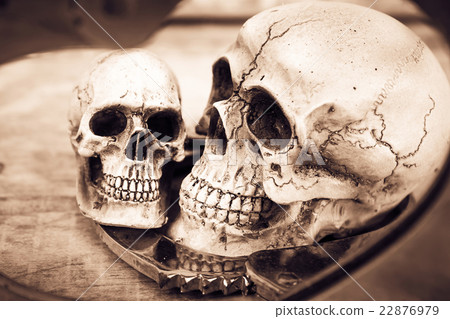 still life and vintage of skull human  22876979