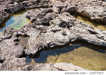 Volcanic rock coast in the Azure Window 22877923