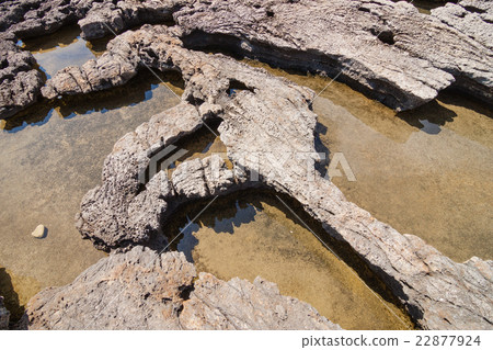 Volcanic rock coast in the Azure Window 22877924