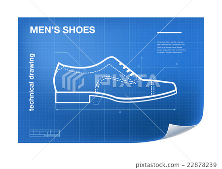 Wireframe Illustration with shoe Wireframe Illustration with shoe 22878239