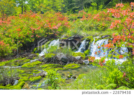 瀑布和瀑布 22879438
