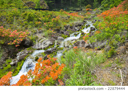 Hole of Hell Hell 22879444