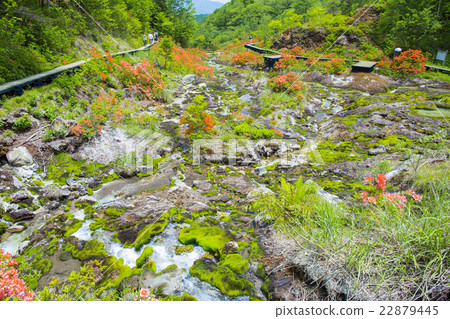 洞地獄 洞地獄 22879445