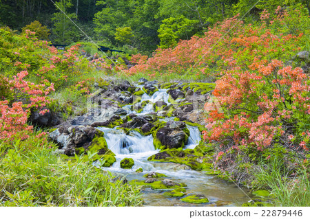 Chabo Mokeke Park 22879446