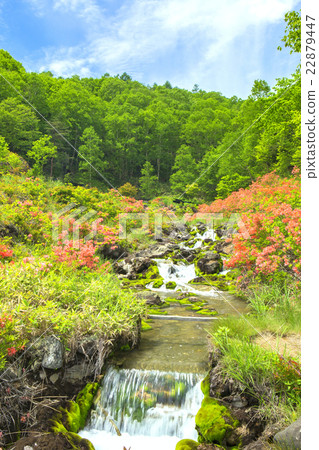 藍天和洞地獄（垂直） 22879447